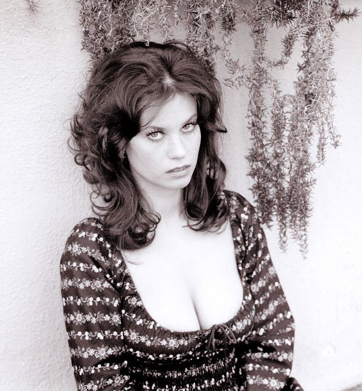 Lana wood tits